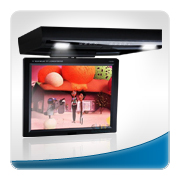 Roof Mount DVD Player