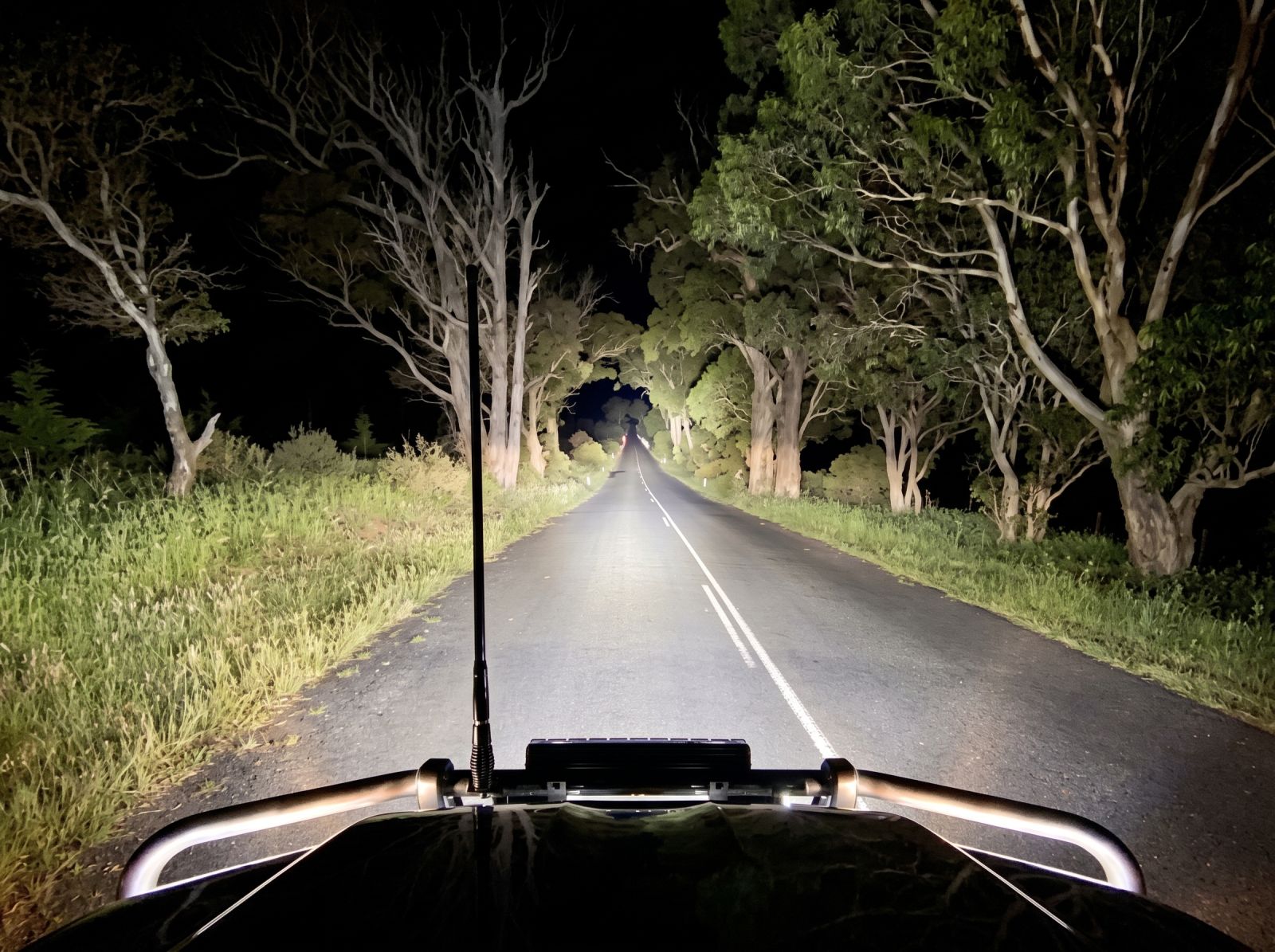 View from a 4WD vehicle with powerful LED driving lights illuminating a dark country road lined with tall trees at night.