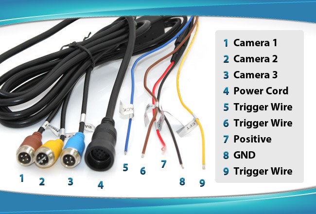 CCD Reverse Camera cable labels