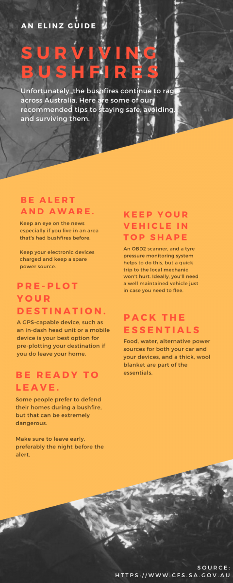 surviving bushfires infographic guide