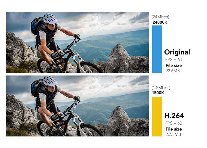 H.264/H.265 camera compression format