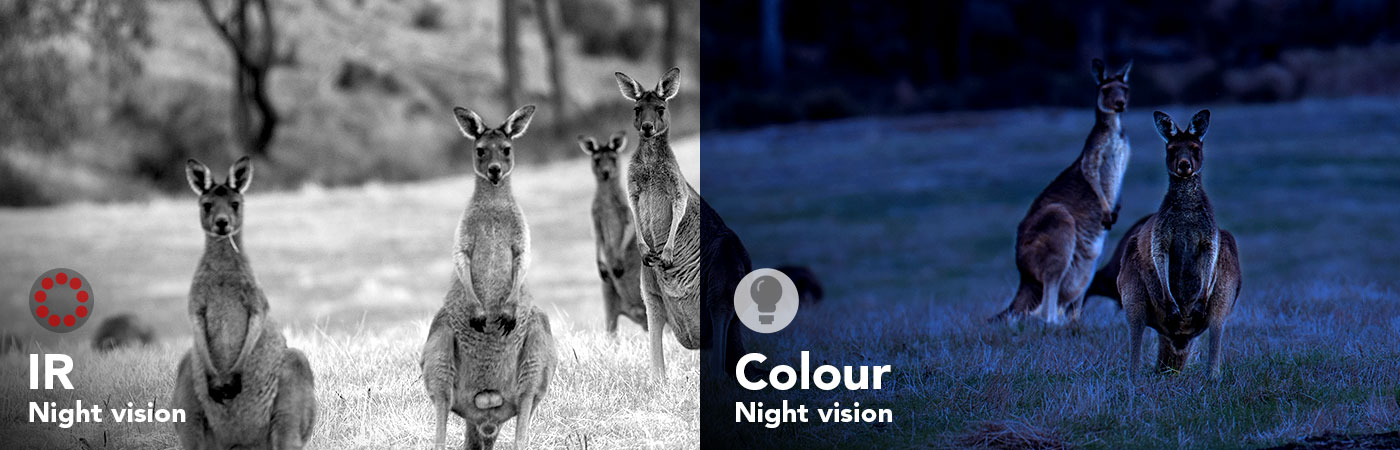 IR and Colour Night Vision