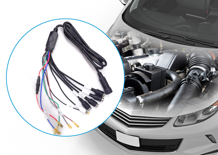 powercord compatible with 12V and 24V