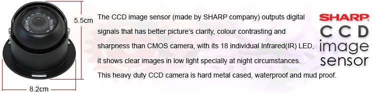 Reverse Camera Specification
