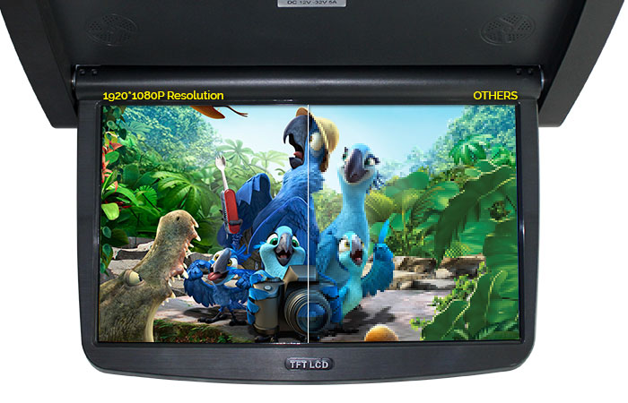 1080P Motorized Screen Roof Mount DVD Player