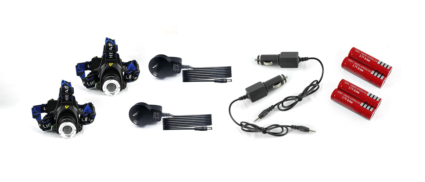 2 headlamp flashlights, 2 wall chargers, 2 car chargers, 4 batteries