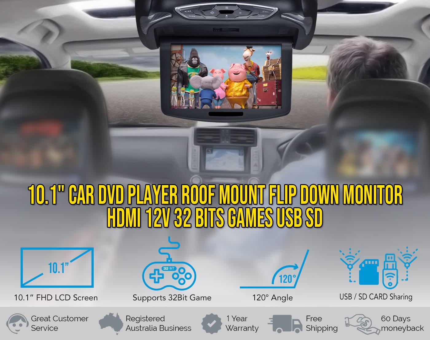 10.1 inch Roof Mount DVD Player