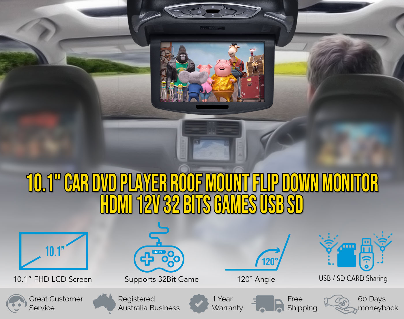 10.1 inch Roof Mount DVD Player