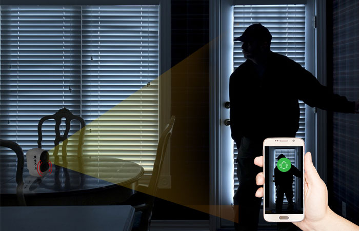 PIR Motion Detection IP Camera