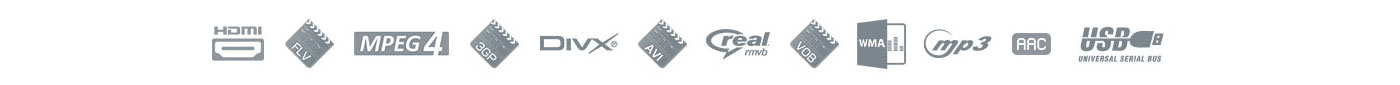 video format Headrest DVD Player