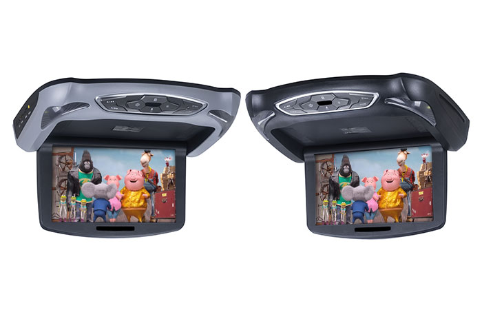 10.1 inch Roof Mount DVD Player