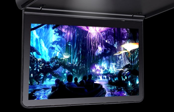 1080P Roof Mount DVD